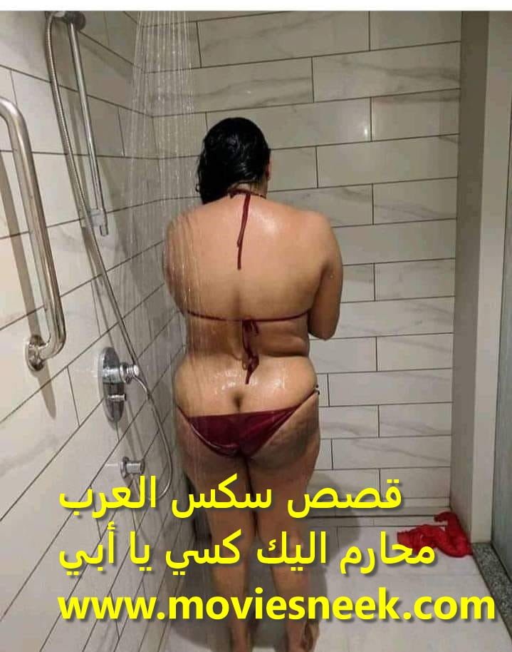 قصص سكس العرب قصص سكس العرب